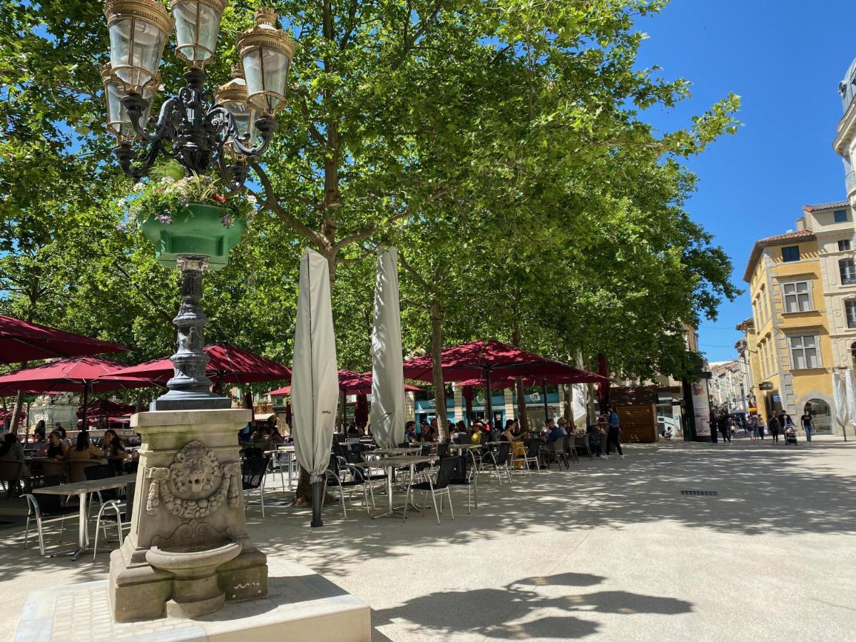 La Maison De L' Ambassadeur Carcassonne B&B المظهر الخارجي الصورة